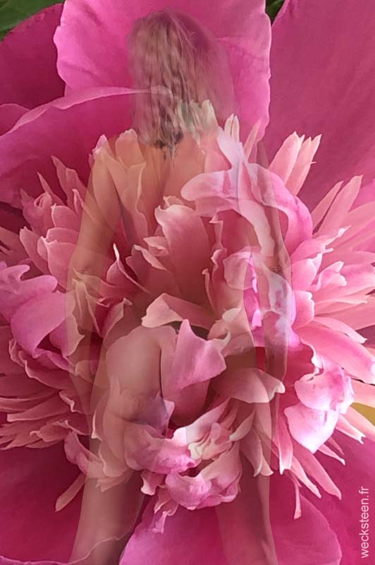 PIVOINE2